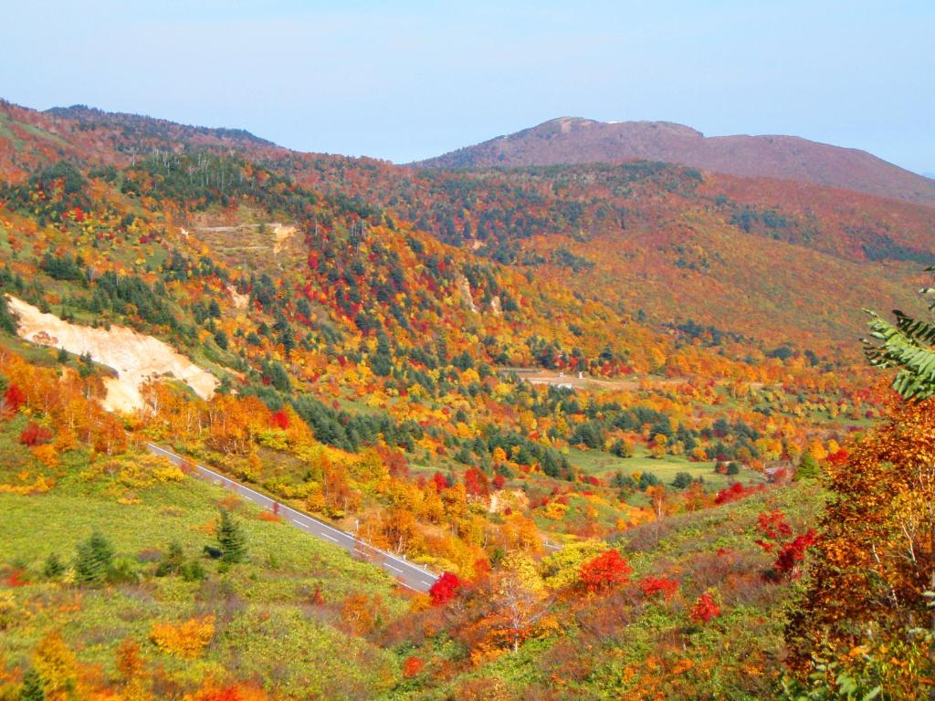 Surrounding environment