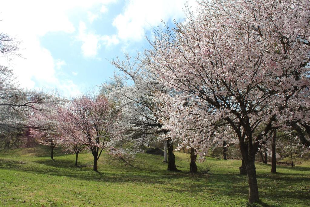 Surrounding environment