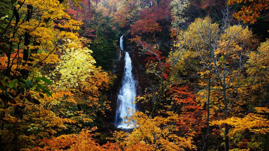 Surrounding environment