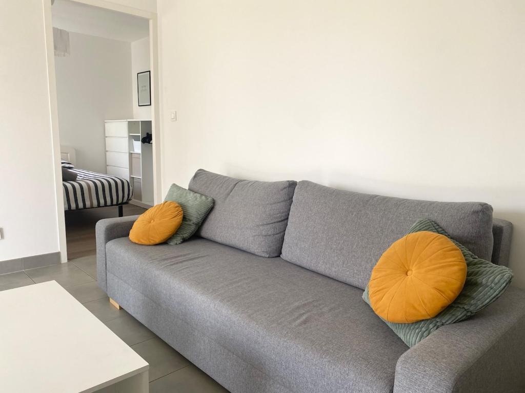 T2 Lumineux Loggia & Parking proche Procé & Viarme - 4