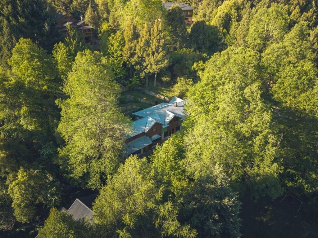 Cabaña rodeada de bosque nativo para 12 c parrilla - 2