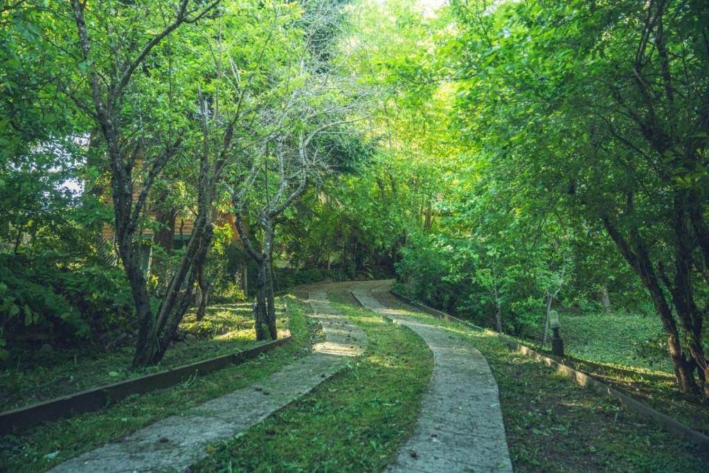Cabaña rodeada de bosque nativo para 12 c parrilla - 3