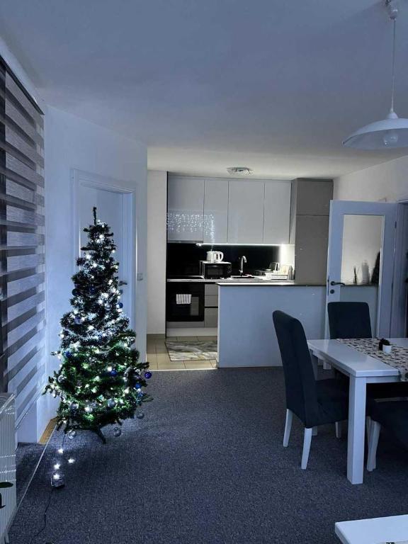 Apartman Nova Pale - 1