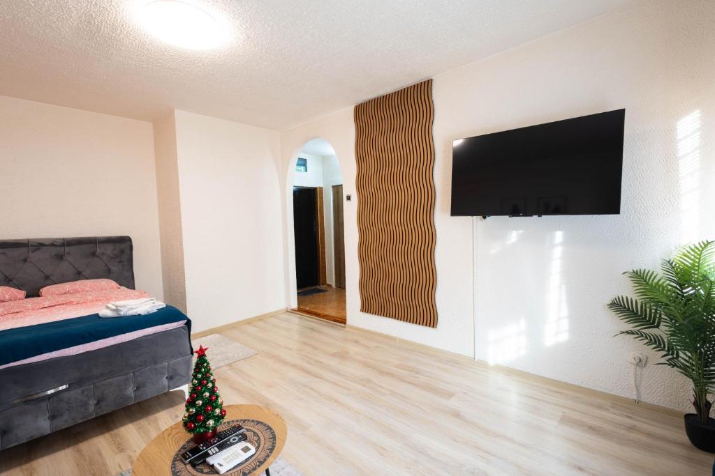 Apartment Alba - 2