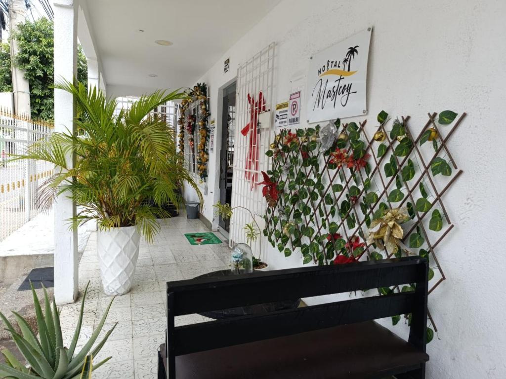 Hostal Mastcoy - 2