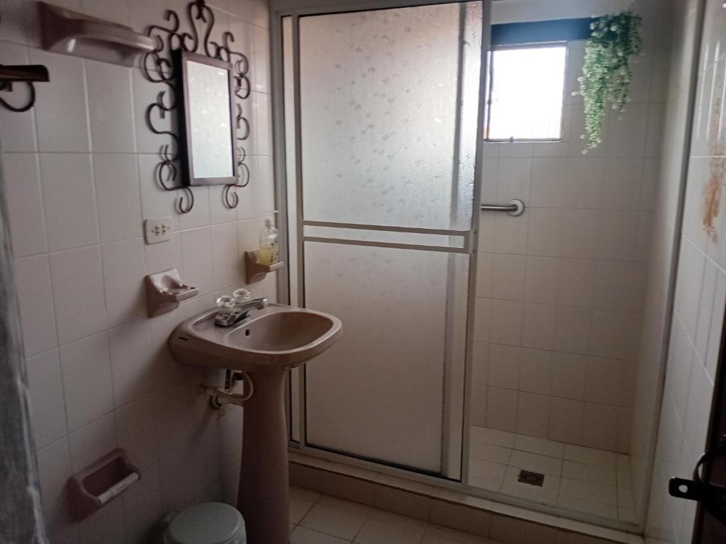 Apartamento Eucalyptus - 5