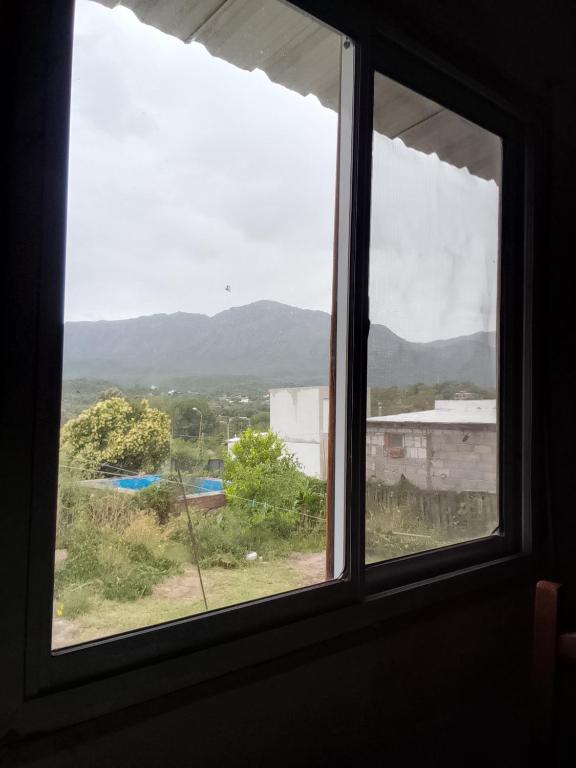 Los patos - 3