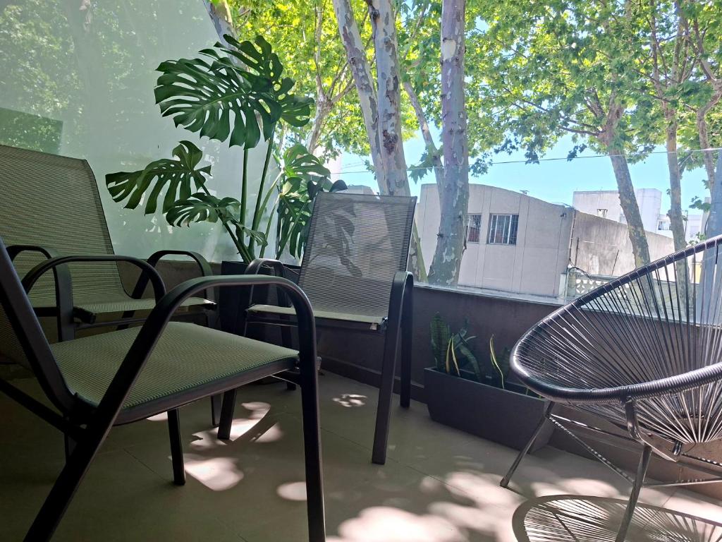 Gran Terraza Privada y Parrillero en Cordón Soho - 4