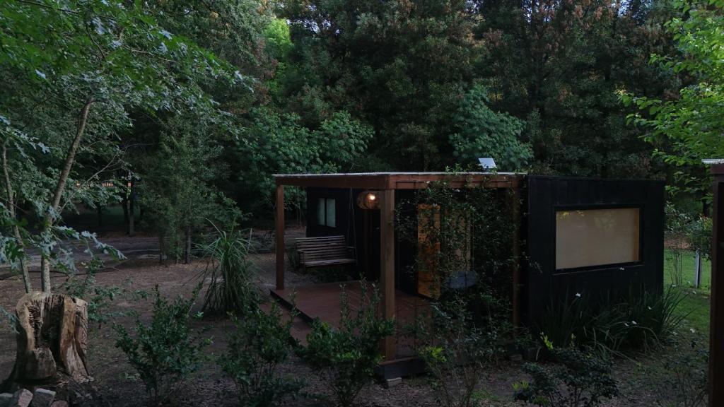 Cabañas en medio del bosque - 5