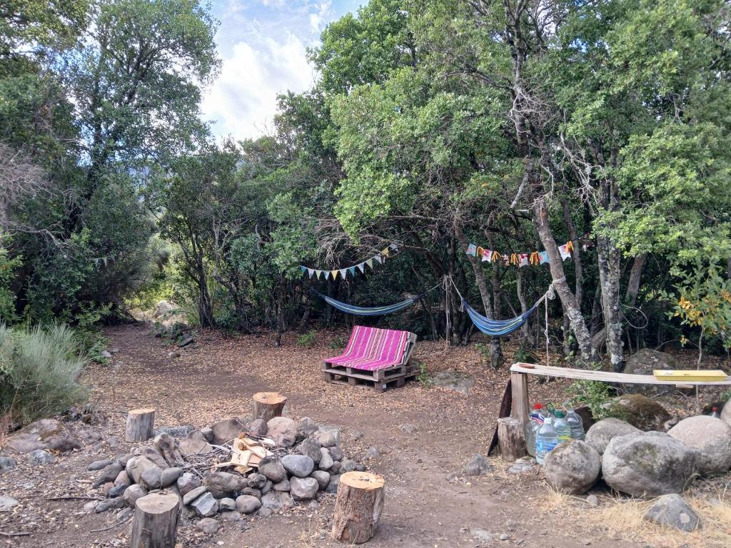 Casa Montañas del Tricahue - 4