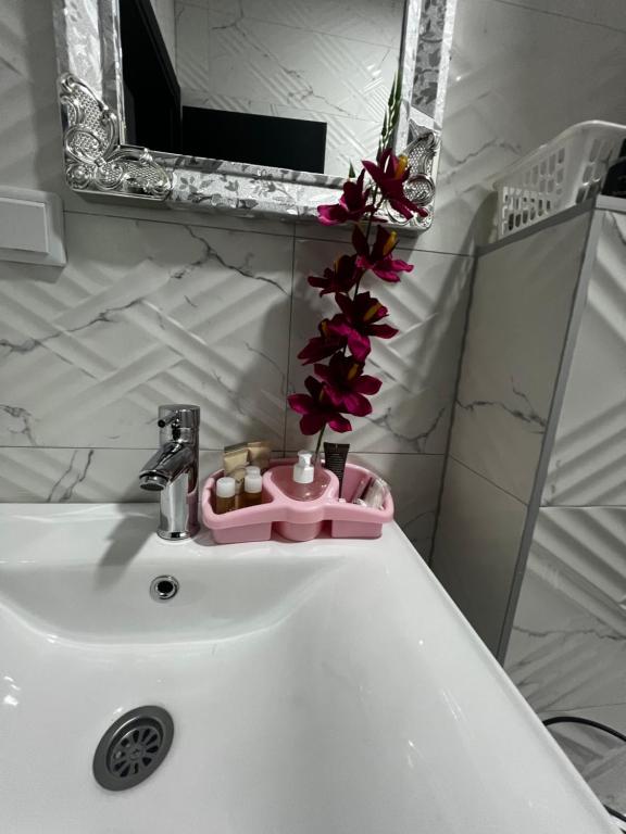 Apartmani M&DŽ Bihać - 2