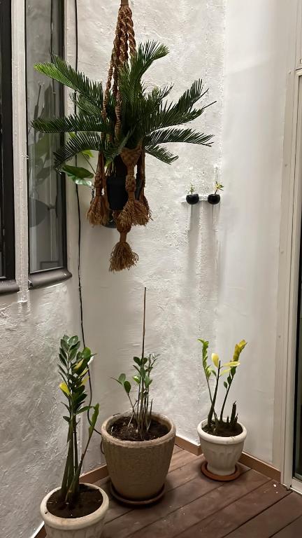 Petit studio haussmannien - 1