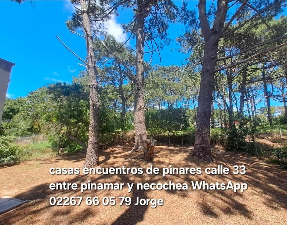 Casas encuentros de pinares - 5