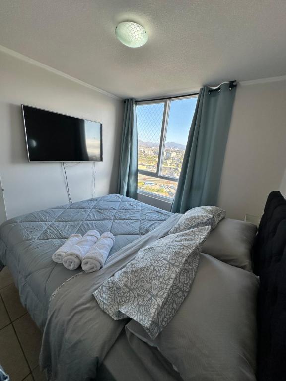 Hermoso departamento a pasos de la playa y casino - 5