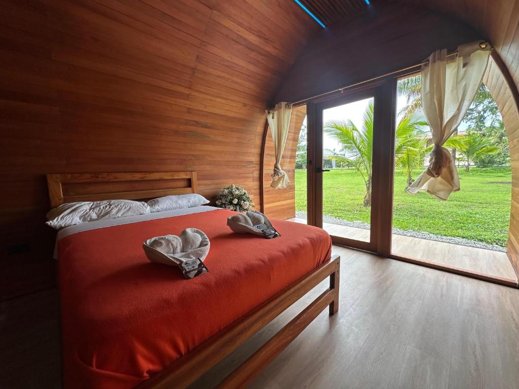 The Jungle Cocoon - 1
