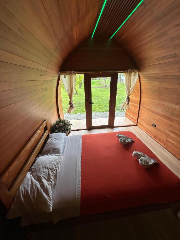 The Jungle Cocoon - 5