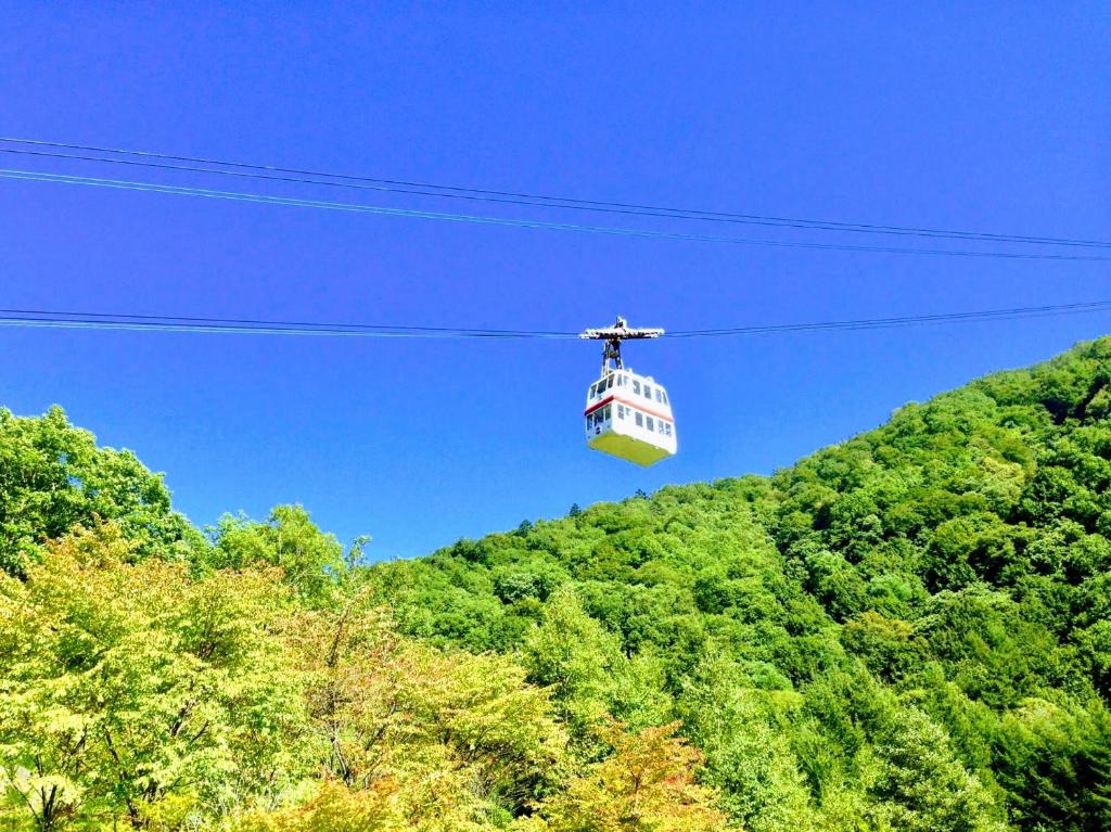 Nearby attraction