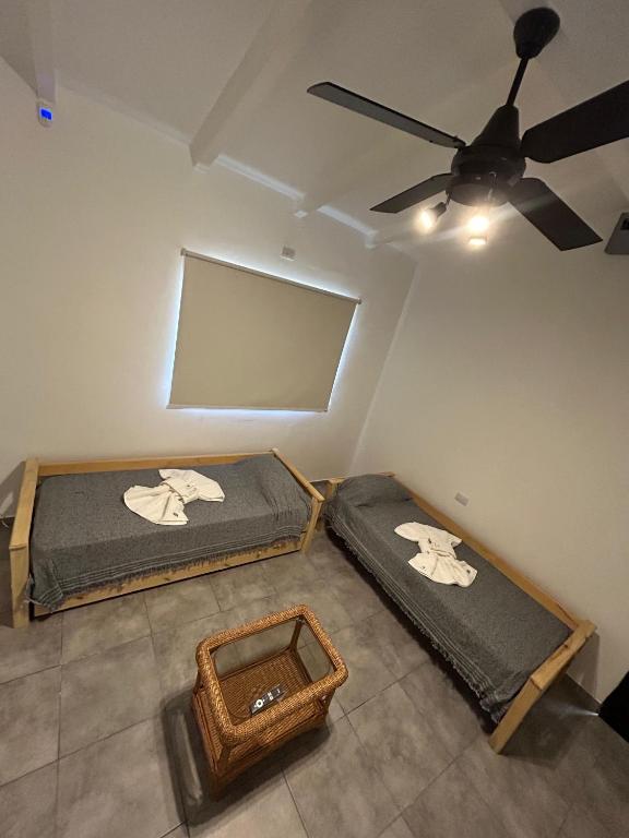 Disfruta casa de bosque a metros de AV San martin y minutos del lago - 3