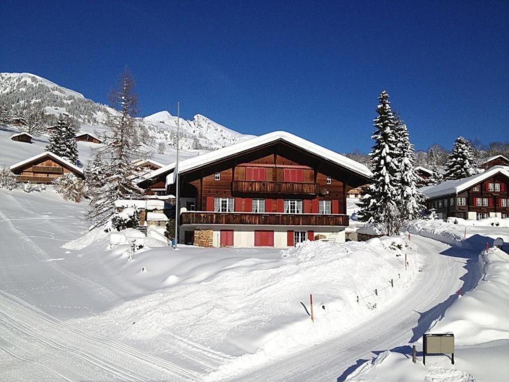 Apartment Chalet Mislin- Grindelwald direkte Bergsicht by Interhome - 3