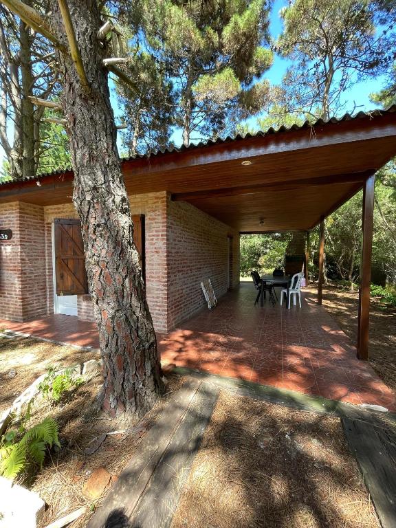 Casa en el bosque - 2
