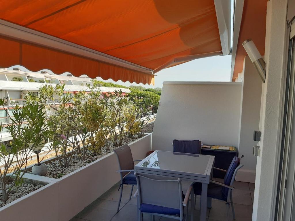 2 bedroom apartment plus kitchen, with terrace - 5