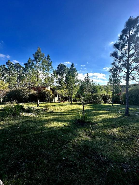 Casa de campo con privacidad, naturaleza y pileta - 4