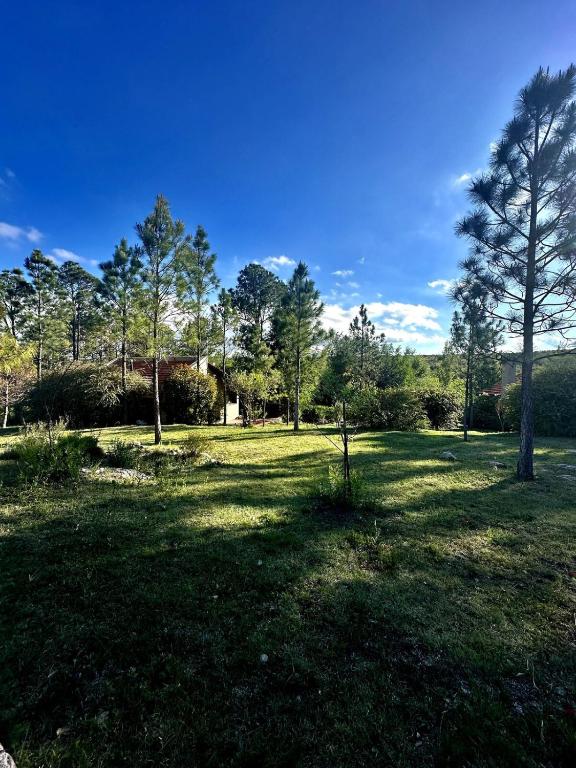 Casa de campo en la naturaleza con pileta - 2