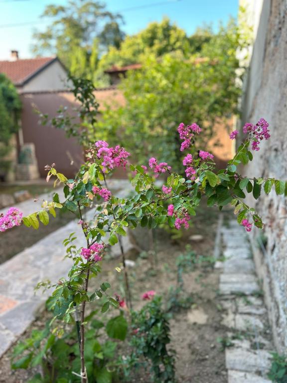 Apartman Stone Garden 2 - 5