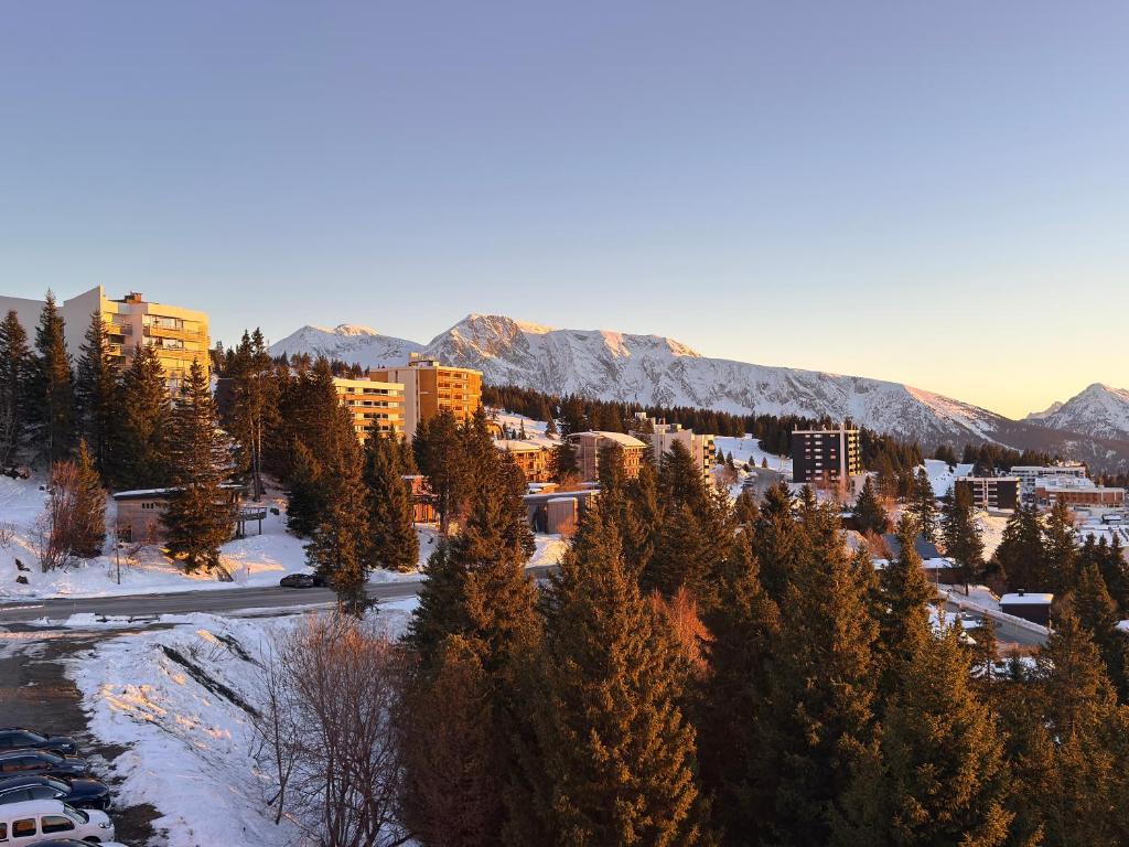 Les Balcons d'Edelweiss - 4