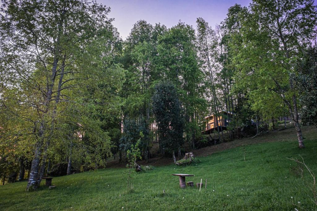 Casa en el Bosque Futrono - 5