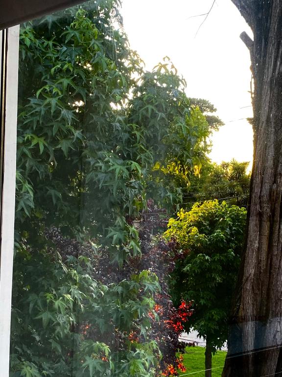 La Casa de los Keikis - 4