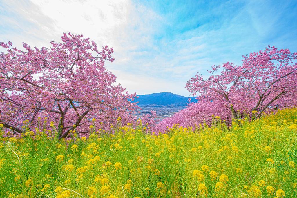 Surrounding environment, Kaiyutei in Izu