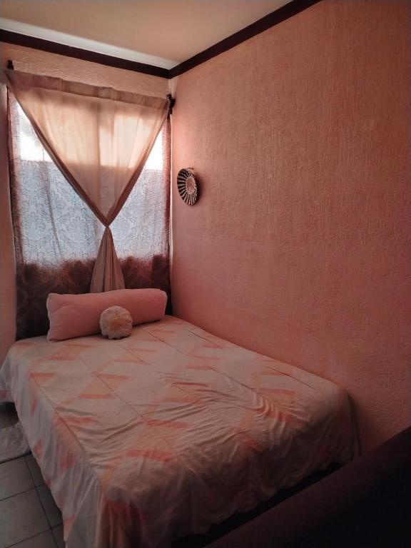 Casita Huaya Mexicana - 4