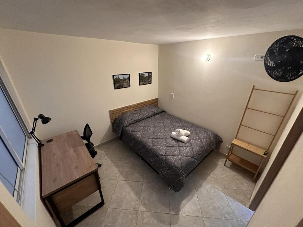 Central Medellín 3BR appartment awe-inspiring Jaguar Mural - 5