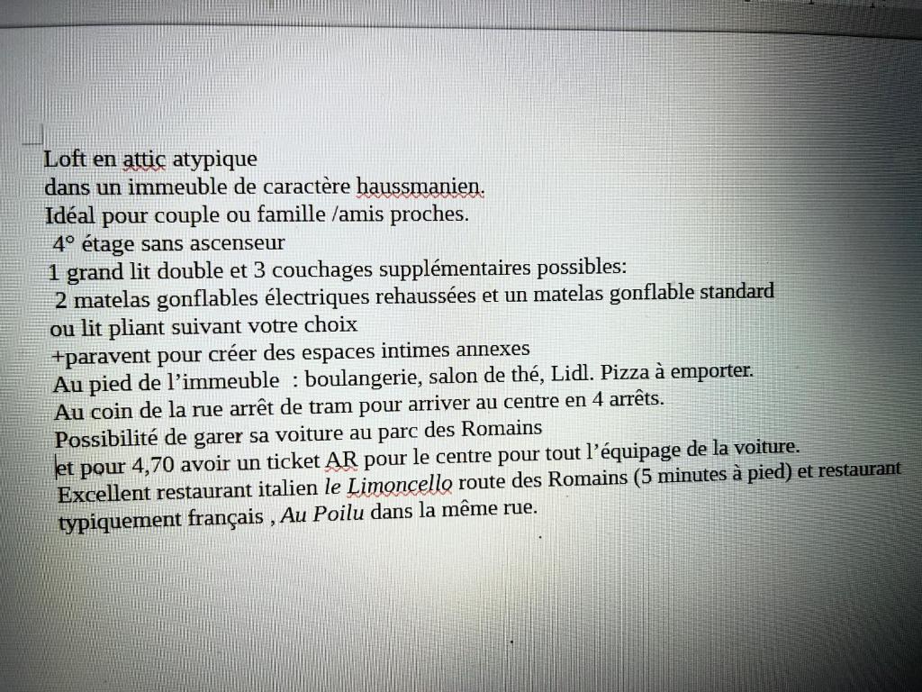 Loft lumineux atypique 10 minutes Strasbourg centre - 2