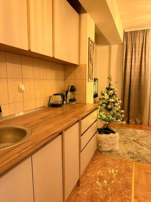 Alexa Apartmani - 5