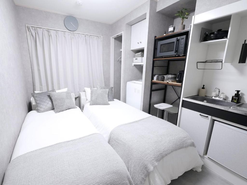 Near Asakusa, Projector, Twin and Semi Double Rooms