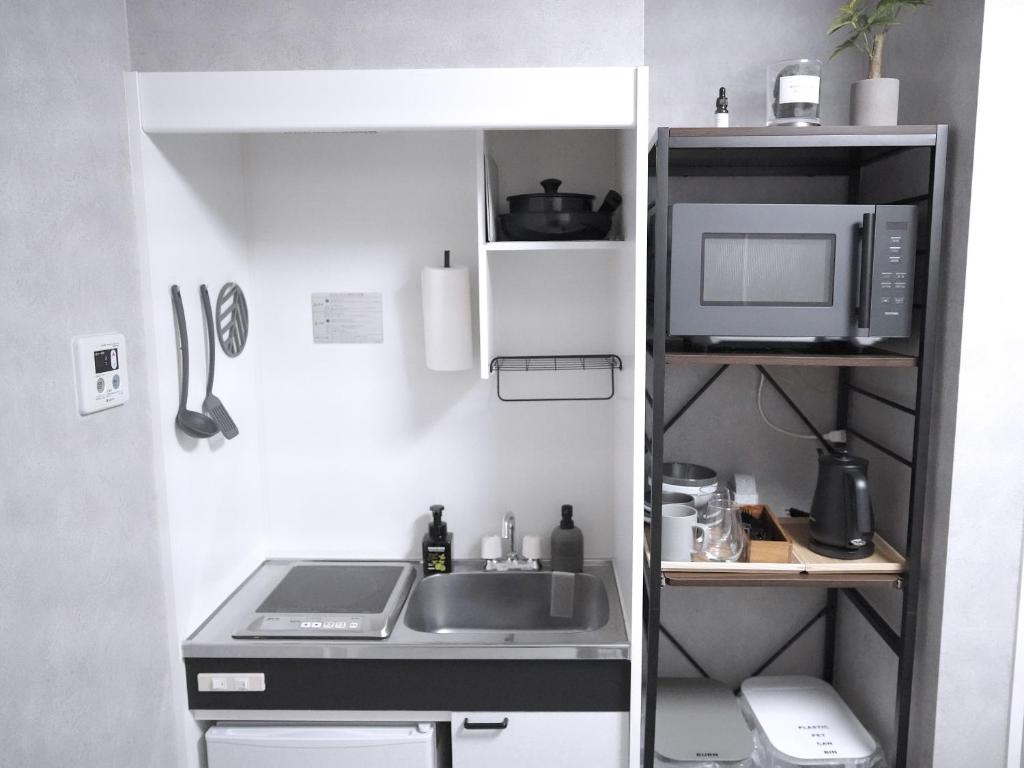 Near Asakusa, Projector, Twin and Semi Double Rooms