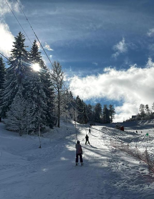 スポーツ/アクティビティ