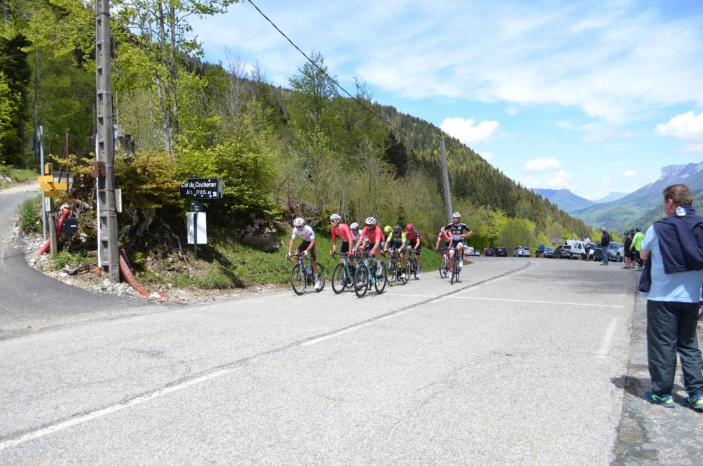 スポーツ/アクティビティ