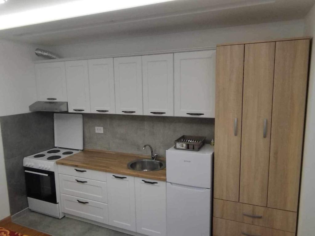 Visnjica Apartment - 1