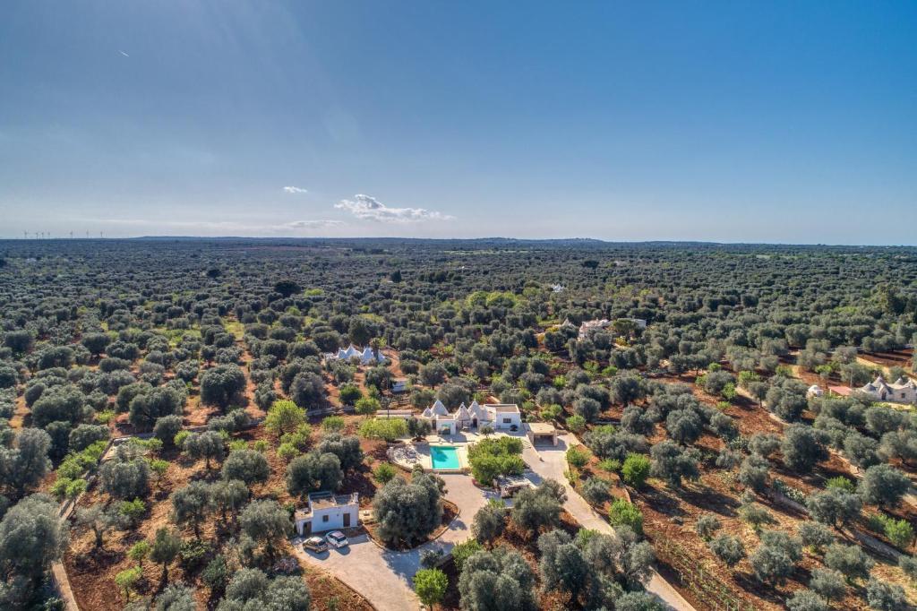 Trullo La Succulenta - Le Case di Valentina - 2