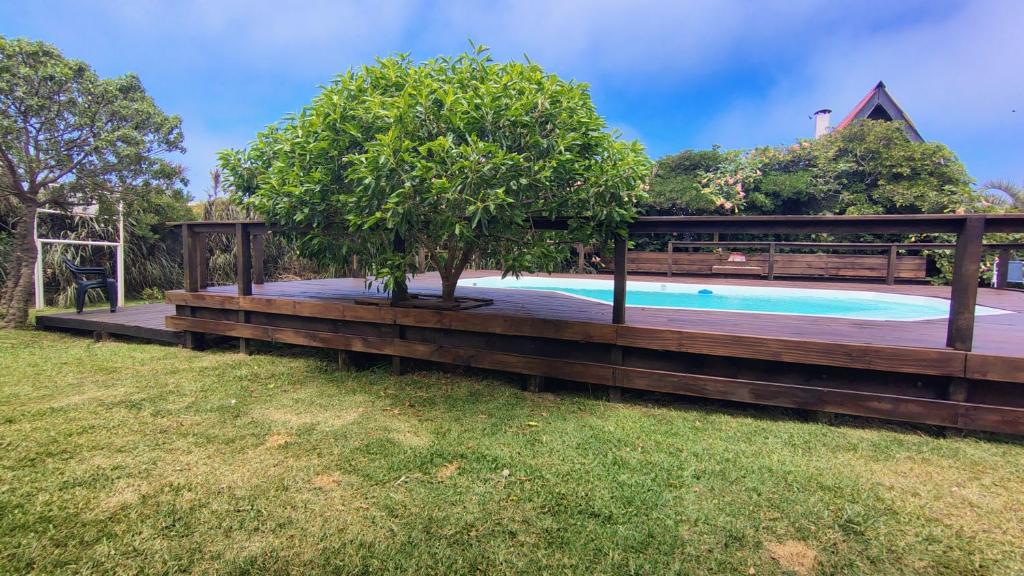 Beija Flor Vip hasta 5 Personas - 5