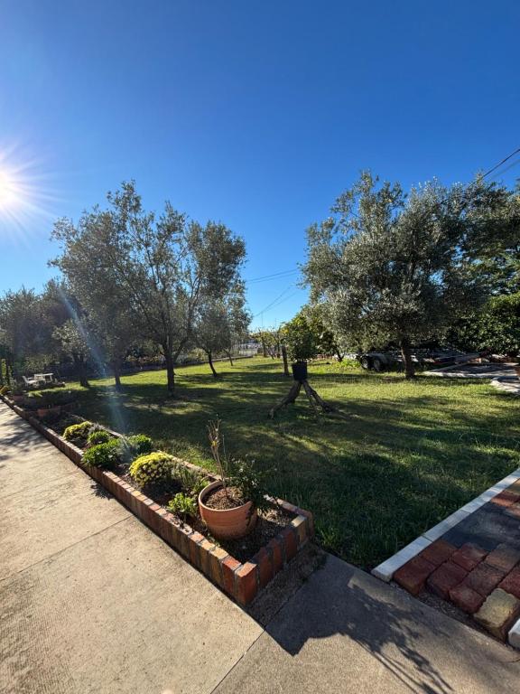 Giardino - 4