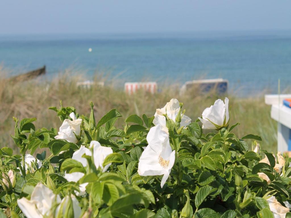 Surrounding environment
