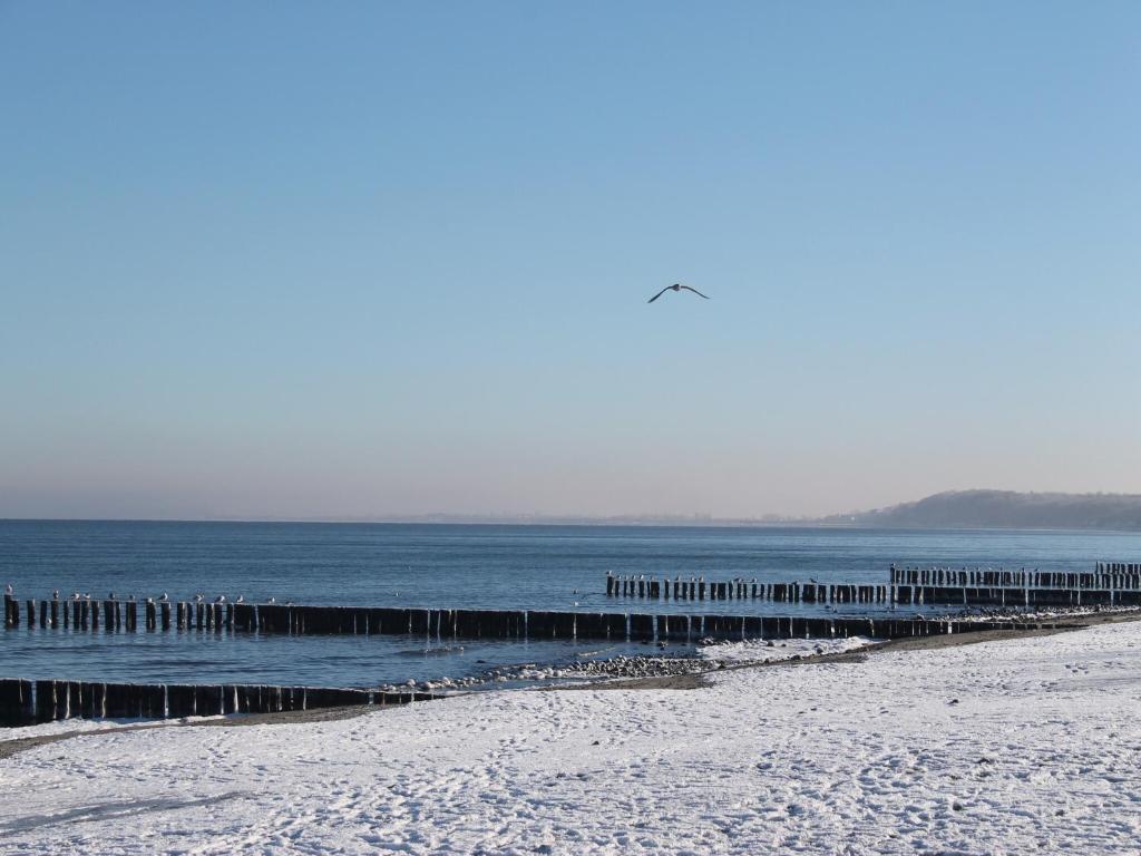 Surrounding environment