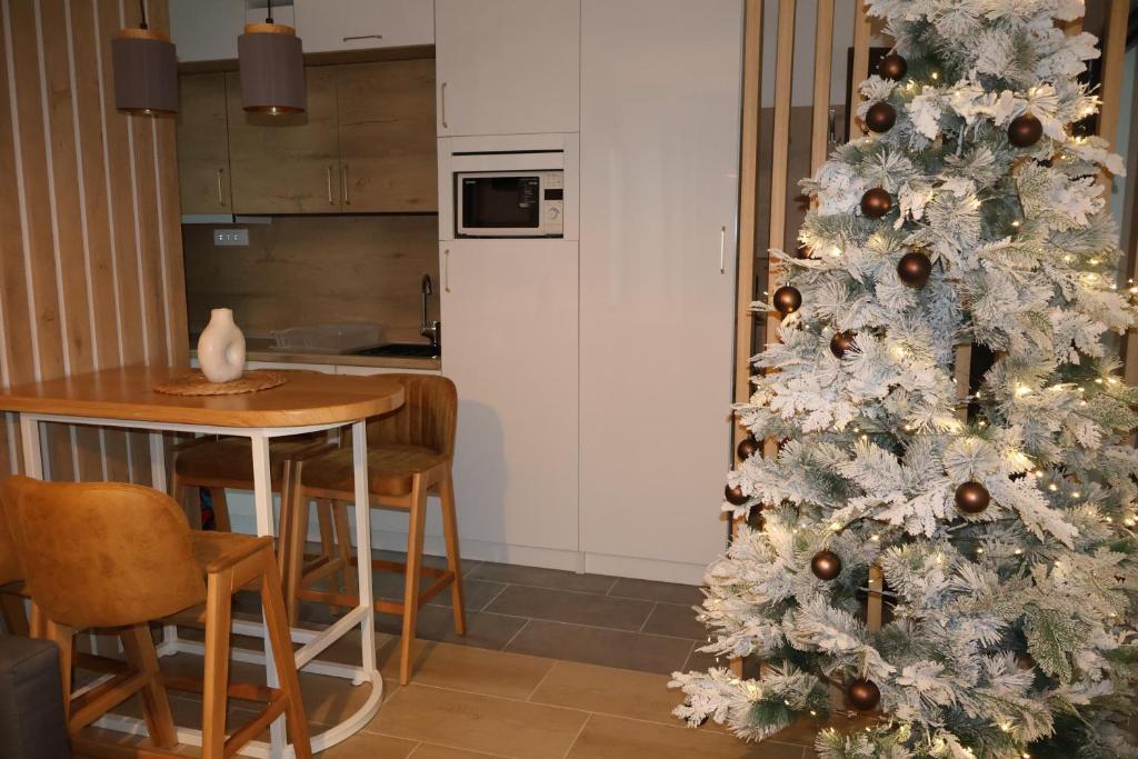 Apartmani Vidik,Treska - 4