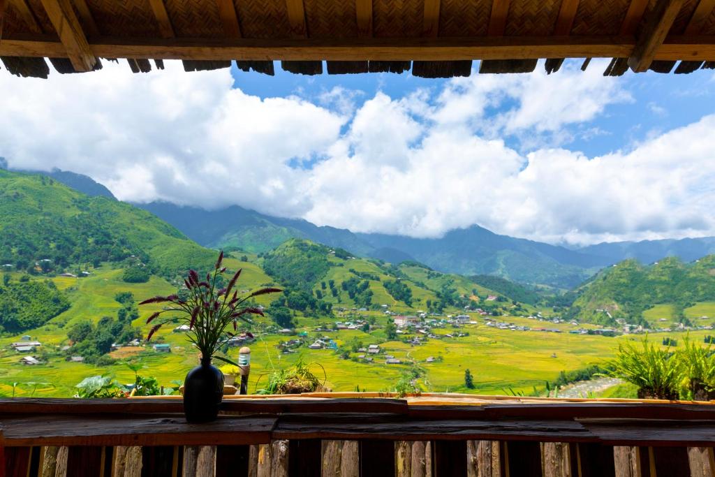 View