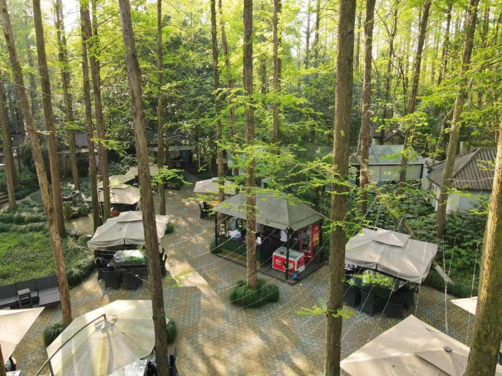 Surrounding environment