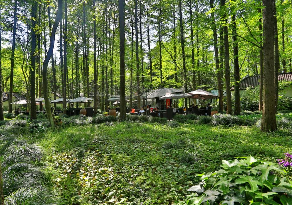 Surrounding environment